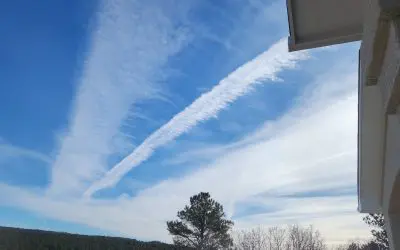 Black Forest Colorado