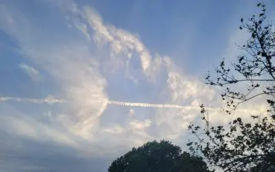 Sanford morning spraying!