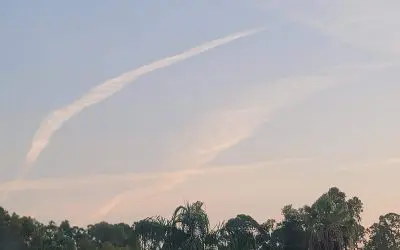 Sanford morning spraying!