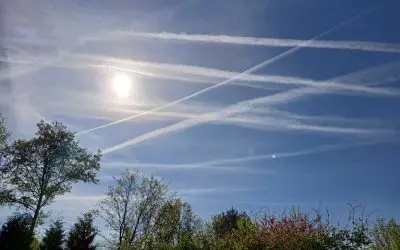 Friesland-Don,t look up