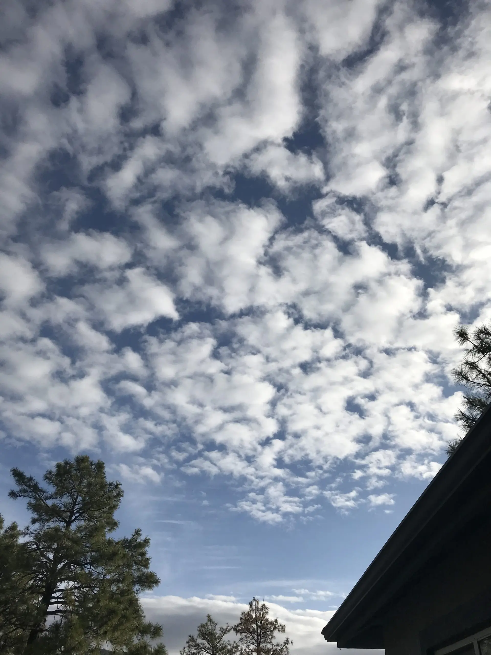 dcb5d43f-af6f-4397-988c-f168e6c93061