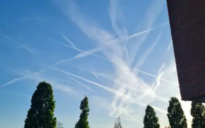 The Haque-Netherlands Evil Pshycopats the bees are dying first.