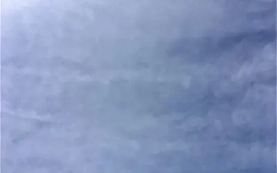 Arizona! You’re not pissed 😤 off enough! This has to 🛑 stop.