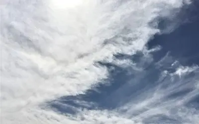 Chemicals in the air in Phoenix Arizona.