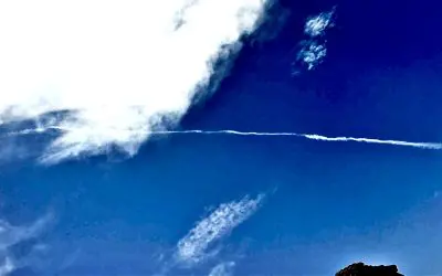 Dystopian state of Arizona