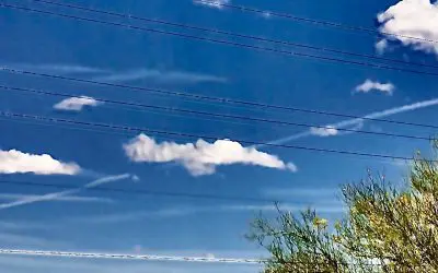 Chemical Castration Continues in Arizona