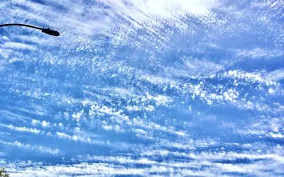 Eloy Arizona. They have been spraying all morning here.