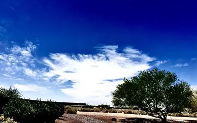 Sprayed all morning in Corrupt Arizona. Left us with big Chemical Blobs.