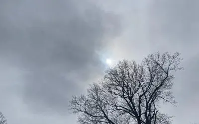 It never ends Nonstop shit sky- 40 degree temp drops SW MI