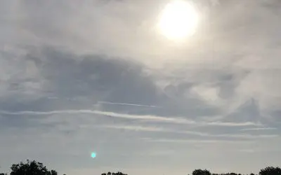 Wimauma/Sun City/Ruskin, FL