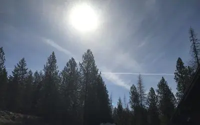 Still spraying Idaho