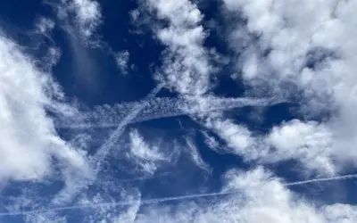 Poisoning Prescott AZ