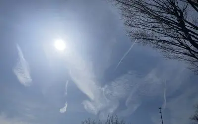 Suburban philly 7 days a week