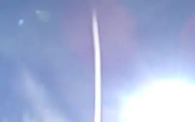 Wis   heavy parasite dump