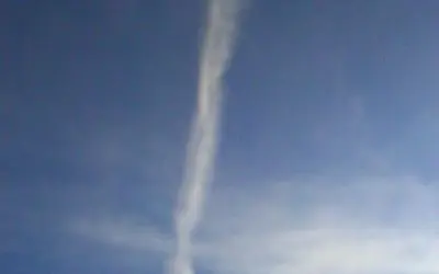 Parasite trail in wis