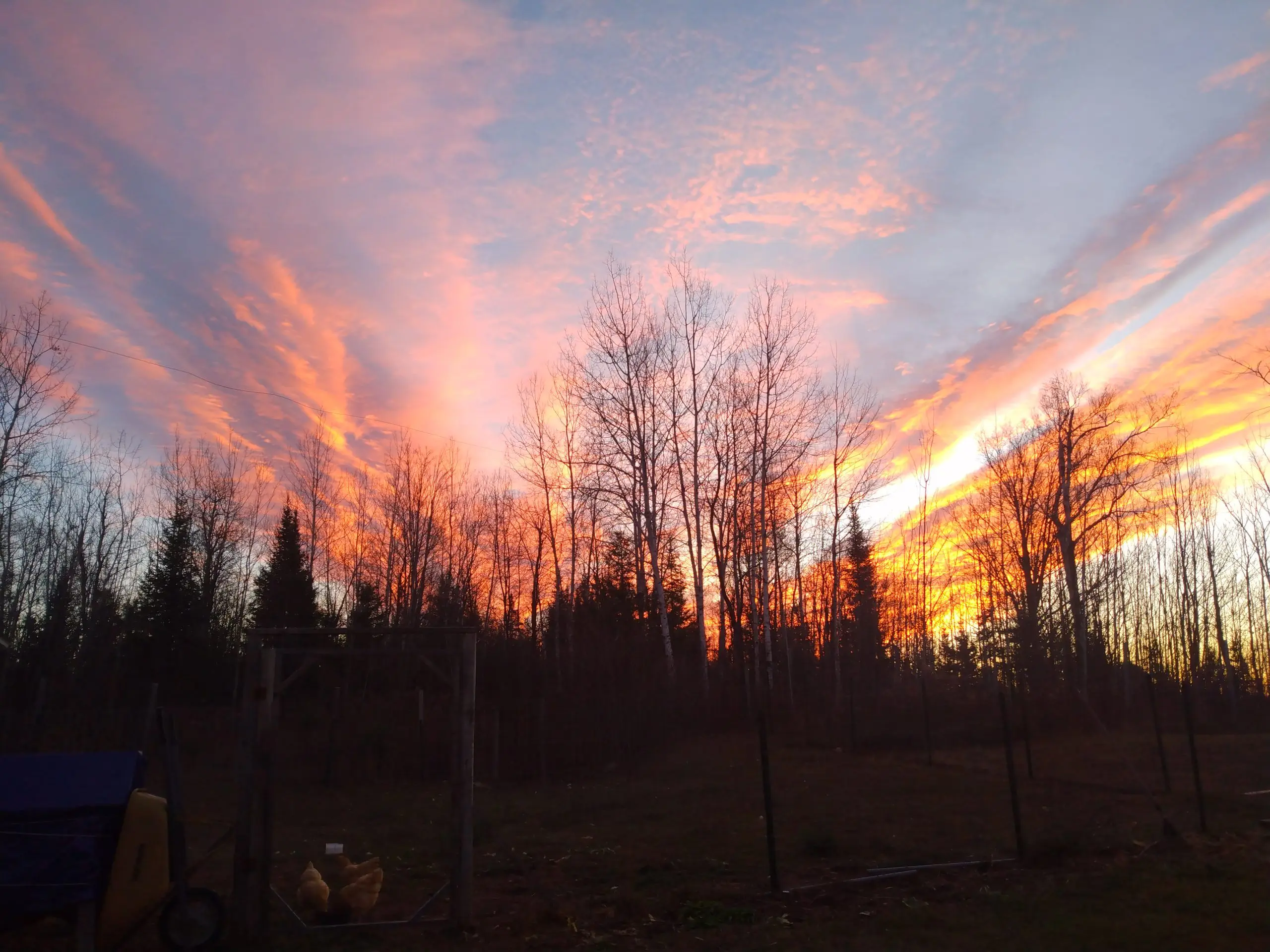 morning-chemtrails-11-24