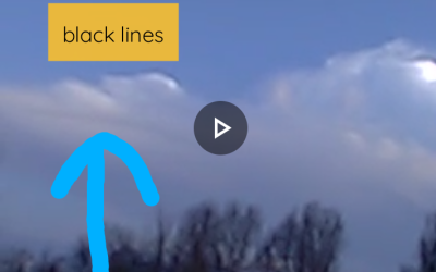 Black l i n e s matter