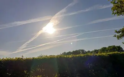 The Netherlands-Friesland.Sundowner show