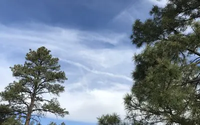 Dewey Arizona – 3 Beautiful Clear Days!  Then Woke Up To These Chemical Swirls In The Sky Today!