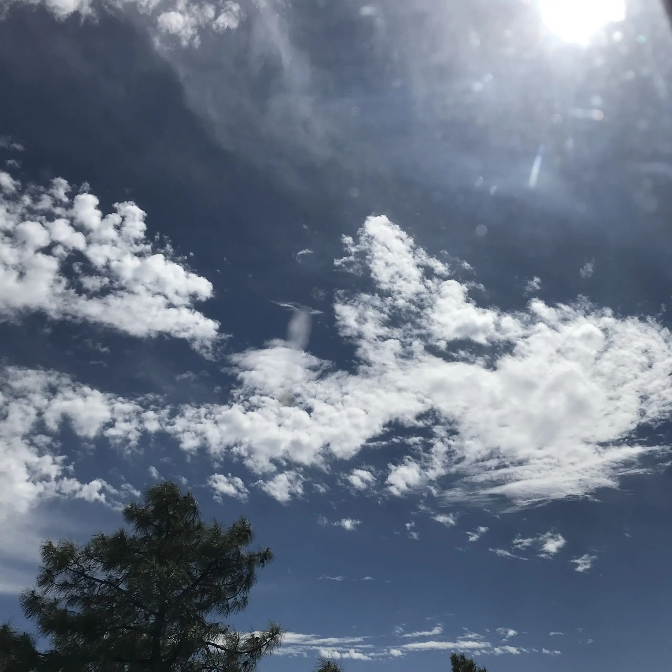 fd3be469-4324-4ca1-b849-1b5f13a80d8c