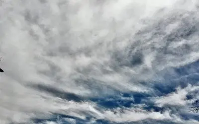 Six decades experience with desert skies of Arizona. They are not supposed to look like this. I am experienced in flight and knowhat modet jet engines are designed to release practically zero emissions and none that are visible. This is caused by fuel additives and deliberate spraying with attached nozzles.