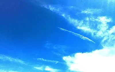 Central Arizona. Final few pics are the result of constant chemical spraying in Arizona. Dead birds everywhere.