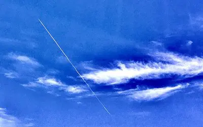 MAHA is no place. We are on our own people, no one is coming to save you.