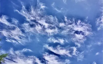 Eloy AZ, ask yourself on this Memorial Day. Is this what we and our ancestors fought and died for? Just to be sprayed from the skies with chemicals?