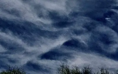 If only we had picked up club or even a stone to protect ourselves against the aggressors …