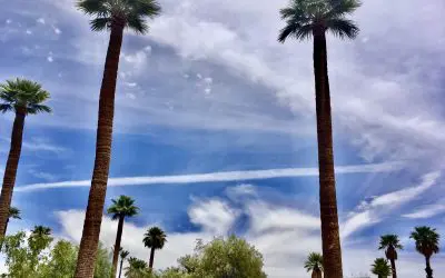 Casa Grande, Arizona  on 5-29-25