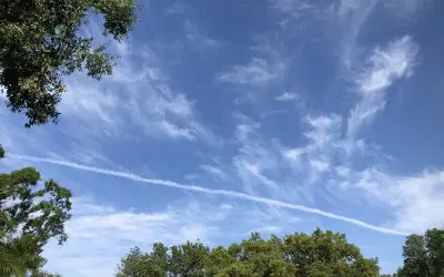 Sun City/Ruskin/Wimauma, FL