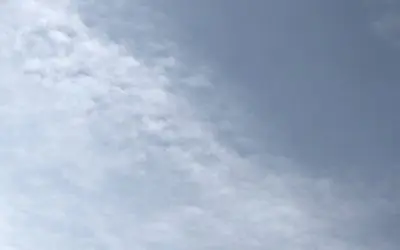 Active jets Sun City/Ruskin/Riverview