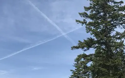 Can’t have a nice memorial day