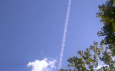 Scum bag pealots    ojibwa park  wis