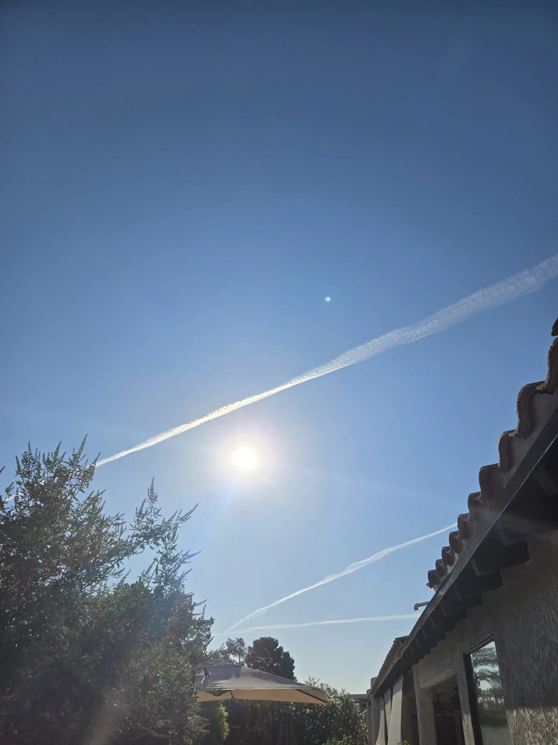 17496526350883878442525626689016