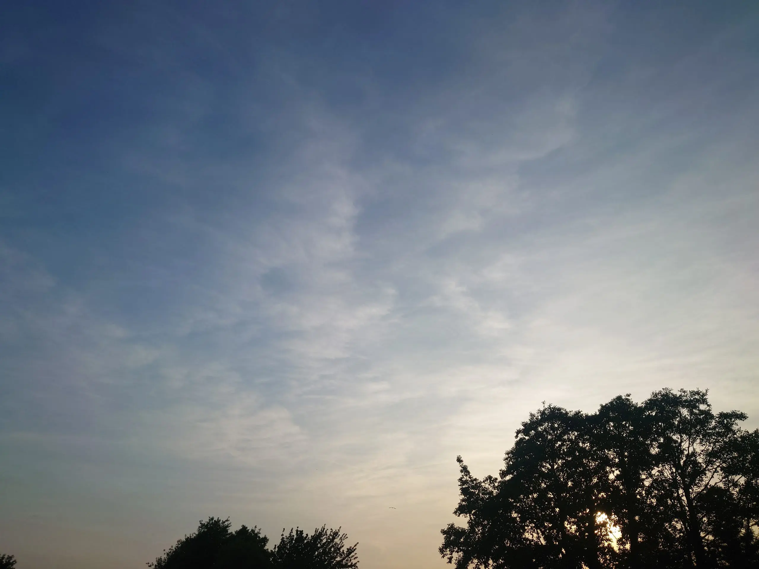 17496698576897860153166249063194