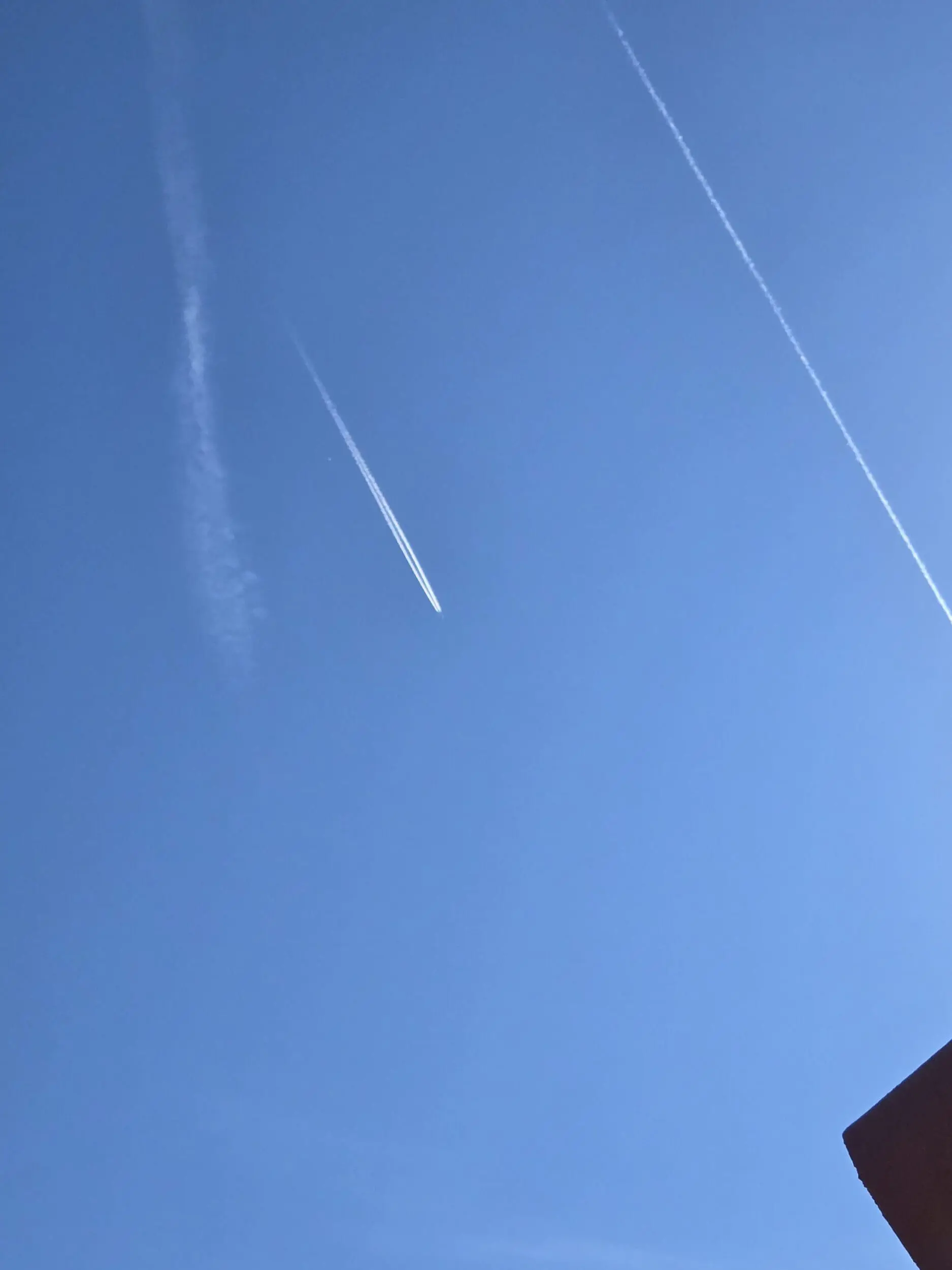 17497428537194873223584130469381