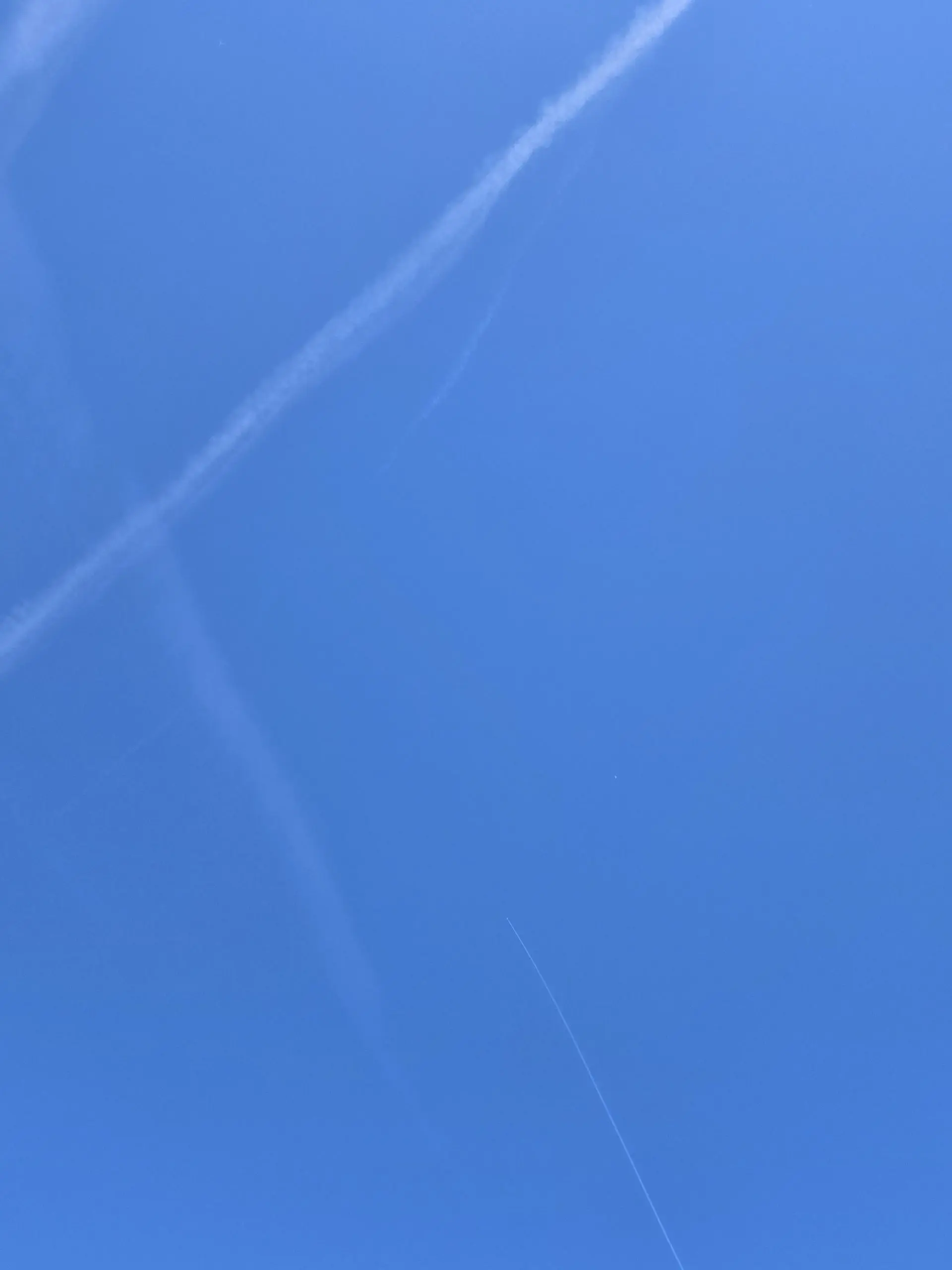 17497430556392461156783977399717