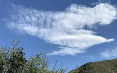 Dewey Arizona – Blue Skies All Day Until This Poison Was Dropped On Us!