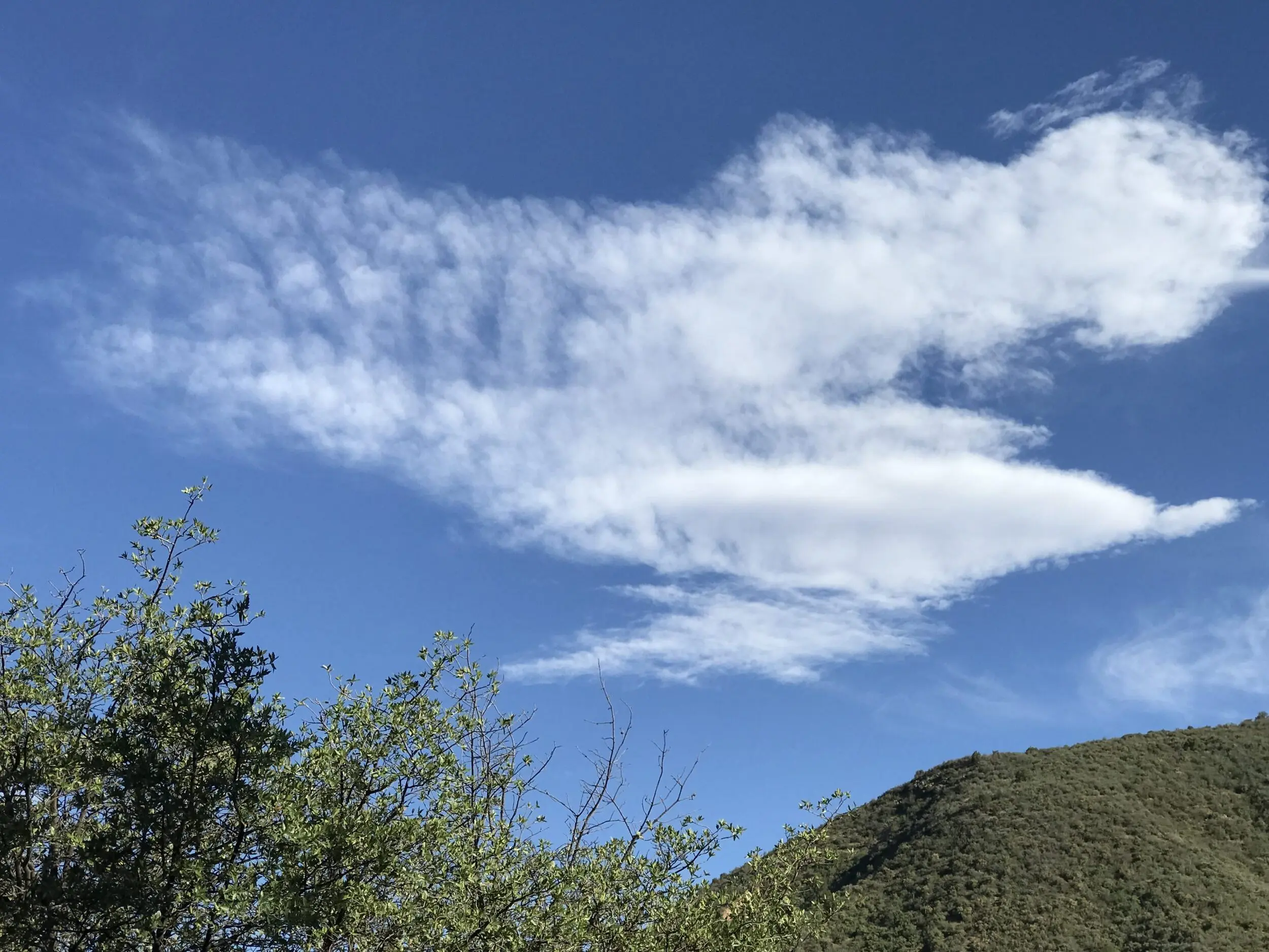 97a951bb-49ca-445a-97e8-4b3a4cad248e