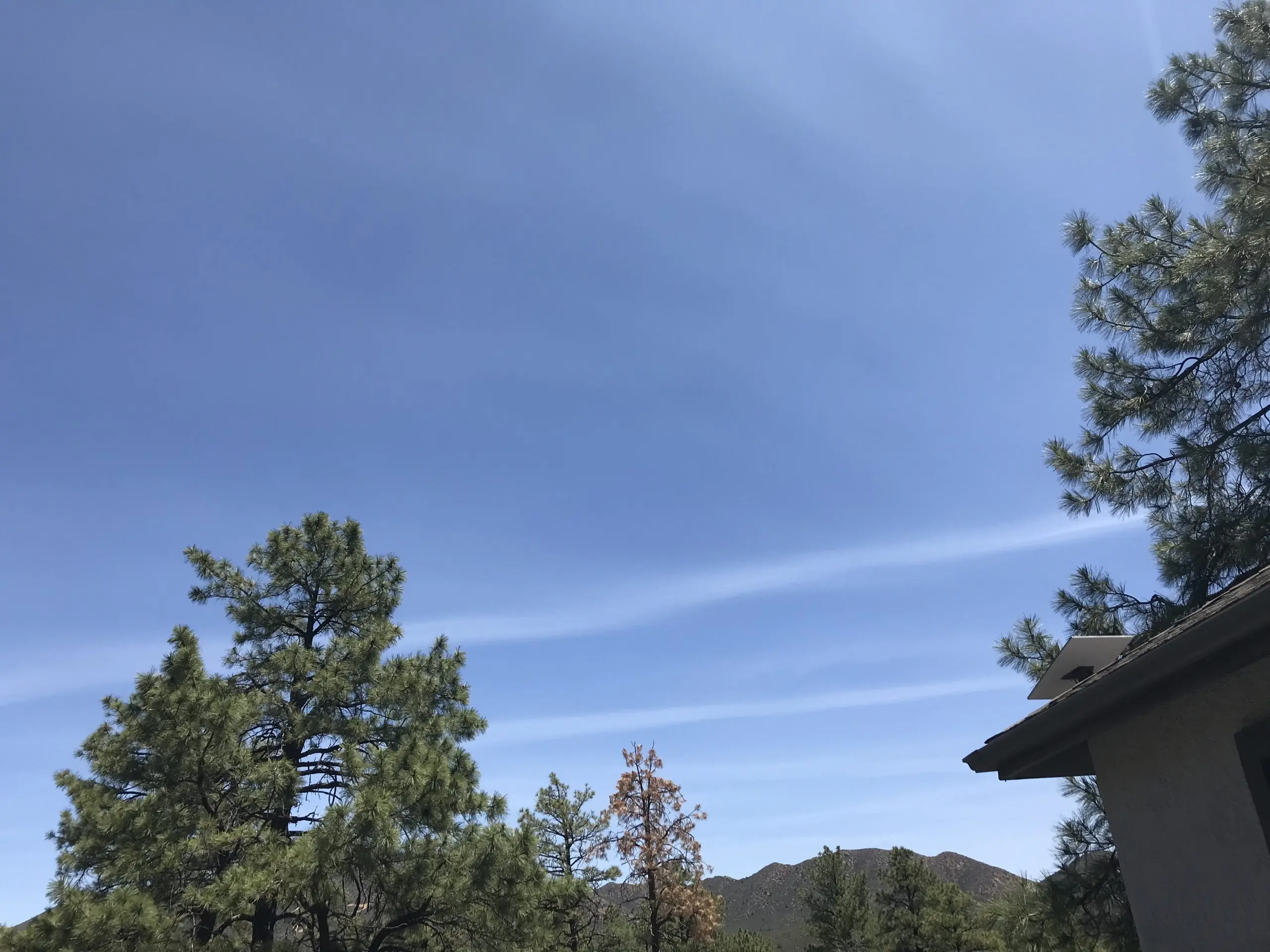 b4b0eb5f-f134-4c47-8297-70e3c9e780e4