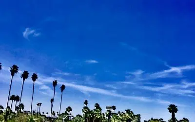 Visiting Chandler Arizona. Had to see these and breathe these everyday. Y’all need a real Governor in this state.