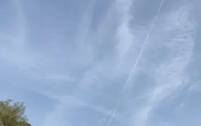 ALSACE (68140 MUNSTER) 14/06/2025 vers 8h du matin