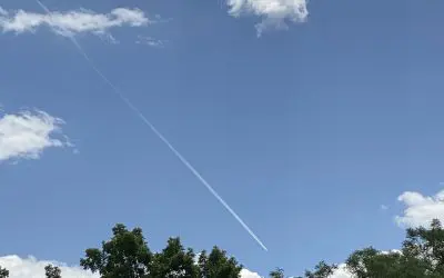 Poison Continues Daily