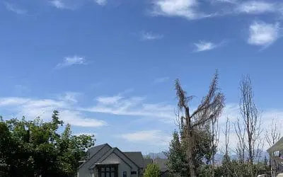 Utah County, Utah: June 14, 2025