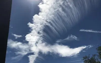 Dewey Arizona – These Webby Blobs Are Being Sprayed Daily!  All Flight Records & Chemical Content Of The Ejected Material Needs To Be Made Public. We Have A Right To Know What We’re Breathing!!