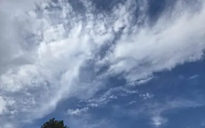 Conspicuously absent