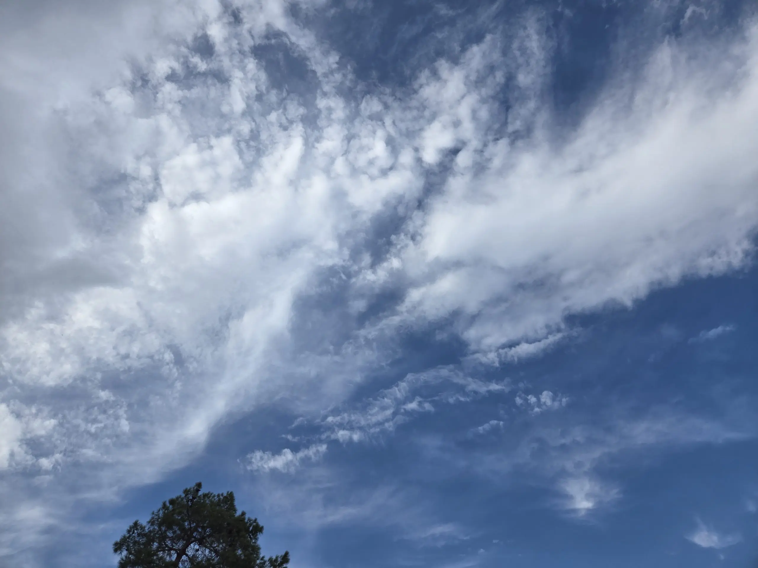 17514171730038601024014132560667