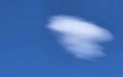 Still…conspicuously absent