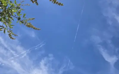 Coming from all directions